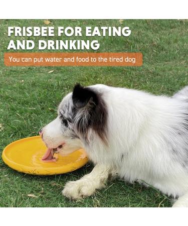 Laroo Dog Frisbee - 24.5cm Flight Disc Toy for Large Dogs | Soft Bite-Proof & Durable - Perfect for Outdoor Training - Buy Online on GoSupps.com