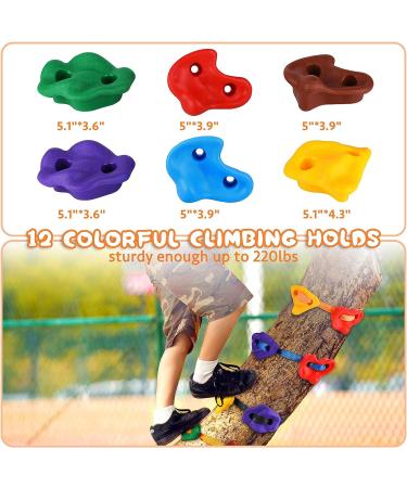 Happy Motte Tree Rock Climbing Holds for Kids - 12 Holds with 6 Ratchet Straps for Warrior Obstacle Course - Outdoor Playground Backyard Accessories - Buy Online on GoSupps.com