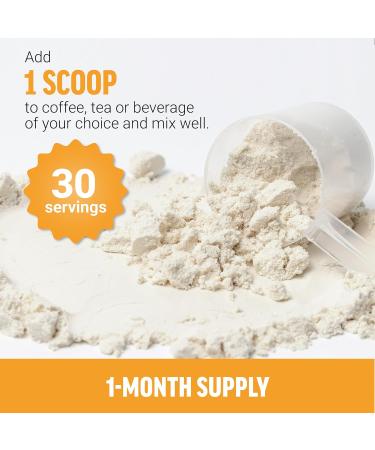 Force Factor Modern Mushrooms Powder, Mushroom Supplement to Support Energy, Focus, Immunity, & Digestion with Cordyceps, Turkey Tail, Chaga, Reishi, Lion s Mane, Shiitake, Unflavored, 30 Servings - Buy Online on GoSupps.com