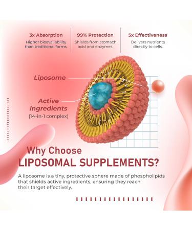 Liposomal Berberine 1790 mg with Cinnamon Gymnema CoQ10 ALA & Ashwagandha Supports Metabolic Harmony & Cardiovascular Wellness 180 Capsules 180 count (pack of 1) - Buy Online on GoSupps.com