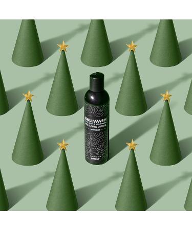 Ballsy Ballwash Arctic Ice Charcoal Body Wash for Men - Natural Soap with Coconut Oil and Aloe Vera - Moisturizing Shower Gel - 8 fl oz - Buy Online on GoSupps.com