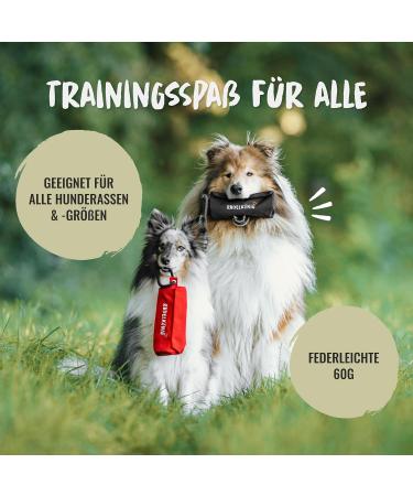 Rudelknig Food Bag for Dogs | Durable Retrieving Bag for Training | Basic Black Treat Dummy - Buy Online on GoSupps.com