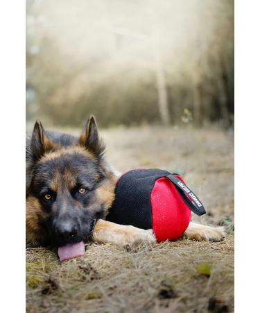 Dingo Gear 19 cm Training Toy Ball - Black-Red with Handle | Nylcott Obedience Game | IGP Apport - International Shipping Available - Buy Online on GoSupps.com