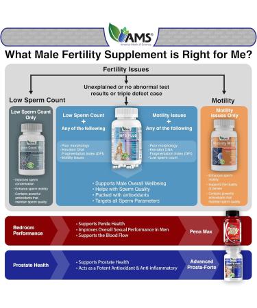 America Medic & Science Sperm Count Max (60 Capsules) | Male Fertility Supplement | Enhances Sperm Count and Reproductive Health | Prenatal Vitamins for Men | with Zinc CoQ10 Vitamin C B2 and B12 60 Count (Pack of 1) - Buy Online on GoSupps.com