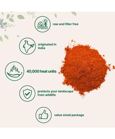 Micro Ingredients Ground Cayenne Pepper Powder Bulk - 2.5 lbs - 40,000 Heat Units - Spicy, Filler Free, Gluten-Free, Garden Wildlife Protection - Non-GMO, Vegan Friendly - Buy Online on GoSupps.com