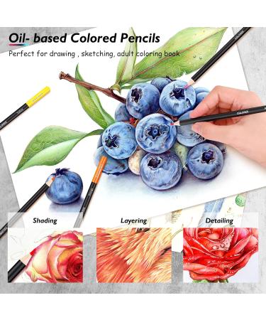 Soucolor 73 Art Supplies Kit for Adults, Teens, and Kids - Drawing Pencils Set in Zipper Case with Sketch and Coloring Books - Ideal for Beginners - Includes Metallic and Charcoal Pencils - Buy Online on GoSupps.com