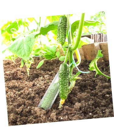 Mipcase 12 Pcs Shaped Growth Mold Pumpkin Molds for Garden Candy Molds Chocolate Heart Mold Fruit Growing Stereotypes Garnish Tools Growing Molds for Garden Cucumber Plastic Vegetable As Shownx3pcs mediumx3pcs - Buy Online on GoSupps.com