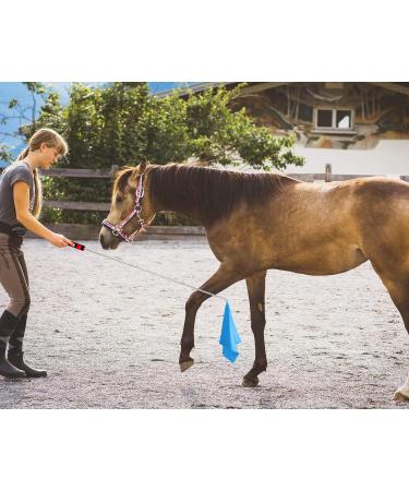 Horse Training Flag with Extendable Stainless Flagpole 5 Color Equestrian Training Flags Pole Horse Training Equipment with Telescoping Handheld Flagpole for Horse Lunging Training - Buy Online on GoSupps.com