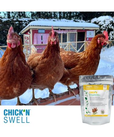 Premium Poultry Vitamins Supplement Chick N Vitamins+ from Chick N Swell Brand- for Optimal Health Support for Poultry of All Ages. 300 g (Makes 300 liters) Made in Canada. - Buy Online on GoSupps.com