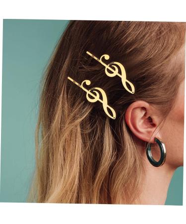 DOITOOL Hair Pin Hair Clip Hair Barrettes Women Hairpin Girl Barrette Women Barrette Girl Hairpin Alloy Women's Note - Buy Online on GoSupps.com