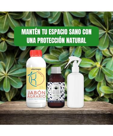 PLANTAWA PLANTAWA Economy Pack: Potassium soap 1 l + neem oil 250 ml + sprayer | hyper concentrated | 100% natural and sustainable. - Buy Online on GoSupps.com