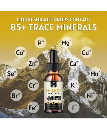 (2-Pack) High Potency Shilajit Pure Himalayan Organic Liquid Supplement Shilajit Resin Drop for Men & Women Max Potency 85+ Clean Trace Minerals & Fulvic Acid for Energy Metabolism & Immune Support - Buy Online on GoSupps.com