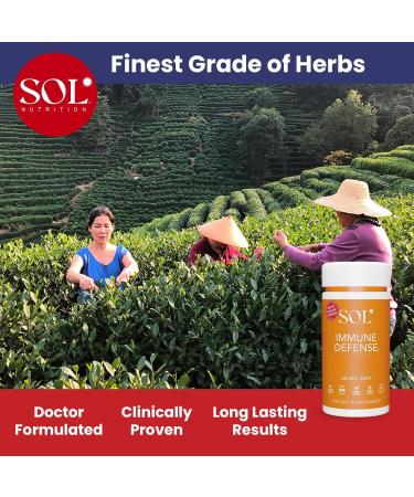 Immune Defense Supplement: Clears Allergens, Builds Strong Immune System, 15X More Powerful, Astragalus, Goto Kola, Andrographis, 60 Easy-to-Swallow Capsules, SOL Nutrition - Buy Online on GoSupps.com