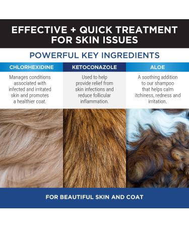PetHonesty Chlorhexidine Shampoo with Ketoconazole & Aloe - 16 Oz for Dogs & Cats - Buy Online on GoSupps.com