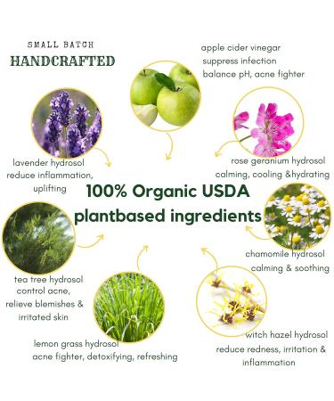 Organic Apple Cider Vinegar Acne Face Wipes | Tea Tree Rose Chamomile Witch Hazel | 25ct for All Skin Types | USA Hello Cider - Buy Online on GoSupps.com