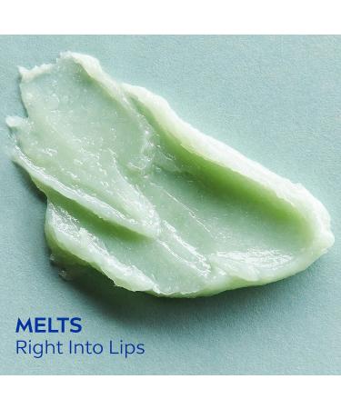 NIVEA Vegan Lip Care Hemp Seed Oil and Shea Butter Lip Balm Stick 0.17 Oz - Pack of 4 - Buy Online on GoSupps.com