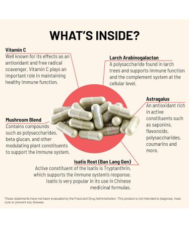 Mountain Peak Nutritionals Immuni-LT - Immune System & Whole Body Support Supplement - Power Packed Immune Booster Dynamic Immune Defense with Essential Vitamins & Minerals (60 Vegetarian Capsules) - Buy Online on GoSupps.com