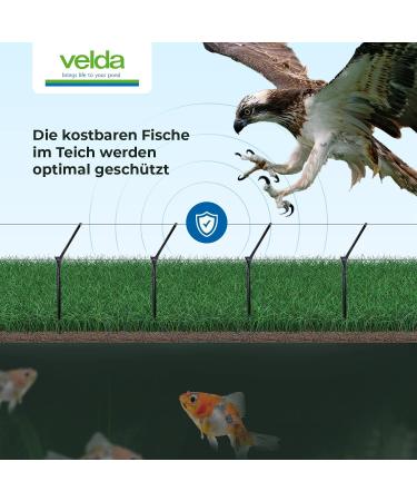 Velda 128020 Low-Voltage Pond Protection Fence 1.1W Heron & Cat Deterrent Colorless 1 Piece - Buy Online on GoSupps.com