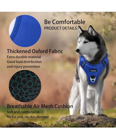 Funfox Adjustable No-Pull Dog Harness for Small & Medium Dogs - Breathable Safety Harness in Blue - Buy Online on GoSupps.com