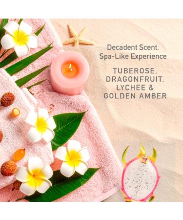 NATURE WELL Cheeky Beamy Bouncy & Dreamy Body Wash Cream Bundle Gentle Cleansing with Captivating Scents Enriched with Effective Ingredients That Help Promote Smoother & Radiant Skin 13 Fl Oz Ea - Buy Online on GoSupps.com