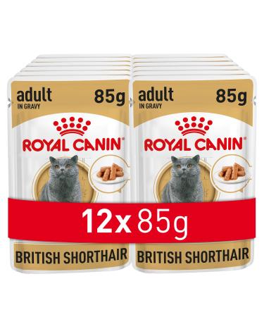 Royal Canin British Shorthair Wet Cat Food 85 g (Pack of 12)