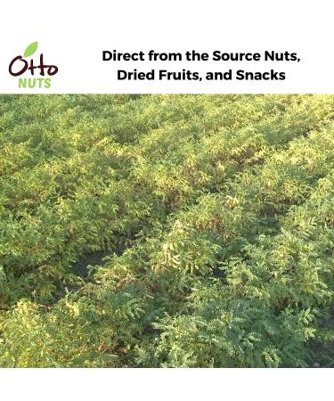 Otto Nuts - Dry Roasted Turkish Chickpeas with Sea Salt | Non-GMO Vegan Snack | High Protein 5.5 OZ Resealable Bag - Buy Online on GoSupps.com
