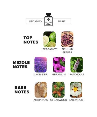 #10 Untamed Spirit 30ml | Fragrance Inspired by Sauvage | Bold Parfum Cologne for Men & Mini Perfumes for Women NewYork Craftmanship #10 Untamed Spirit 1 Fl Oz (Pack of 1) - Buy Online on GoSupps.com