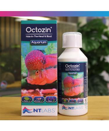NT Labs Octozin Hole in the Head & Bloat Treatment - Treats Aquarium Fish with Bloat - 250ml - treats 3 day course of 375L - Buy Online on GoSupps.com