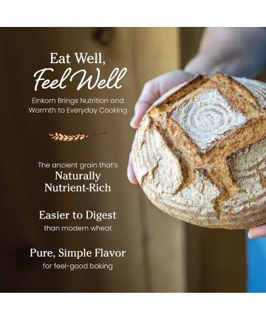 Jovial Einkorn Baking Flour | 100% Organic Einkorn All Purpose Flour | High Protein | Non-GMO | USDA Certified Organic | Delicious Taste | Product of Italy | 32 oz (2 Pack) - Buy Online on GoSupps.com