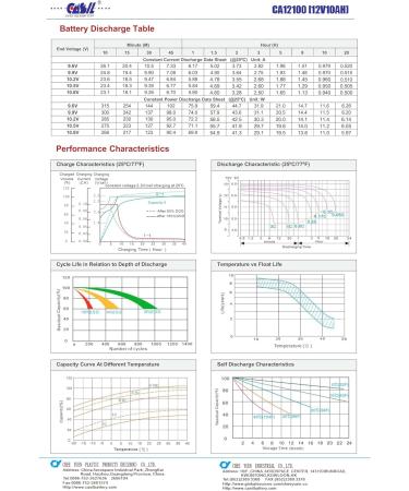 Casil 12V 10Ah Sealed Lead Acid Rechargeable Battery - SLA AGM with F2 Terminals for International Shipping - Buy Online on GoSupps.com