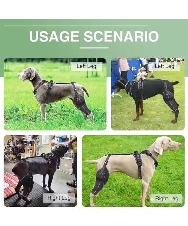 FXNFXLA Dog Knee Brace for Anterior Cruciate Ligament Tear Dog Knee Brace for Patella Luxation Support Cruciate Ligament Injury - Buy Online on GoSupps.com