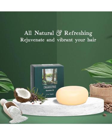 Adirondack Mountain Air Natural Shampoo Bar - Vegan Sulfate-Free Eco-Friendly Solid Hair Cleanser for Normal & Oily Hair (2.5 Oz - Buy Online on GoSupps.com