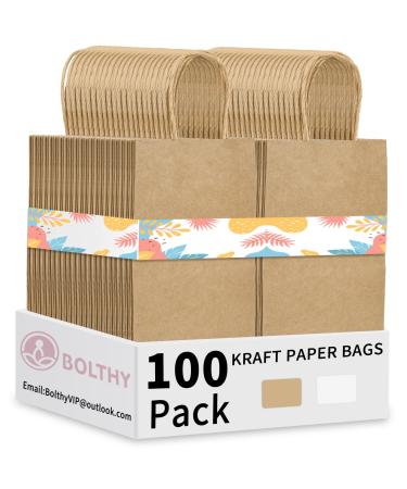 Bolthy Brown Small Kraft Paper Bags 100Pcs 8.27 x 3.15 x 5.91 inches(20x8x14cm) Paper Bags with Handles Gift Bags for Shopping Wedding Retail Party Favor Bags