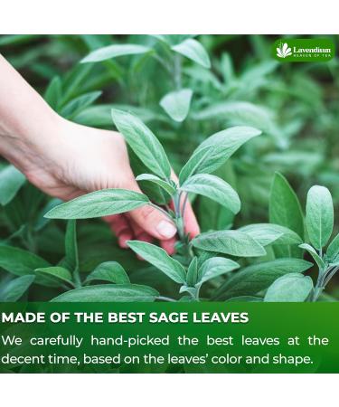 Lavendium Premium 30 Sage Leaf Tea Bags 100% Natural & Pure from Sage Leaves. Loose Leaf Sage Herbal Tea. Made with Natural Material Tea Bags. No Sugar No Caffeine No Gluten Vegan. CA Sage 30 Bags - Buy Online on GoSupps.com