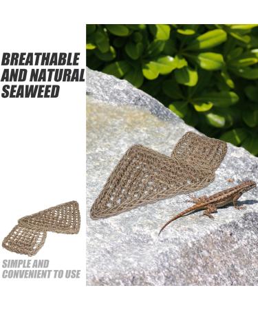 POPETPOP Reptichip 2pcs Lizard Hammock Jungle Climber Reptile Lizard Bearded Dragon Hammock Reptile Lounger Hammock Bed for Anoles Bearded Dragons Geckos Iguanas Hermit Crabs Jungle Toys - Buy Online on GoSupps.com
