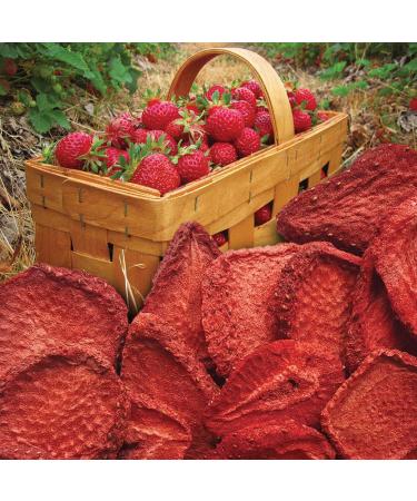 Brothers-ALL-Natural Strawberry Fruit Crisps - 24 Pack (0.26 oz each) | Healthy Snack - Buy Online on GoSupps.com