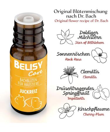 Belisy Itching Bach Flowers for Dogs & Cats - Natural Skin Care & Fur Care - Non-Alcoholic Emergency Remedy - 10g - Buy Online on GoSupps.com