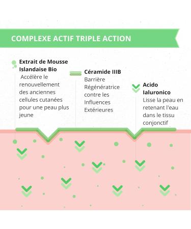 Lenevin Organic Cream with Foam Against Wrinkles - BEST PRODUCT F.A.Z. Guide 23 & Vergleich.org 22/23 - Natural Cosmetics 4% Icelandic Moss Hyaluron Ceramides Made in Germany Vegan - Buy Online on GoSupps.com