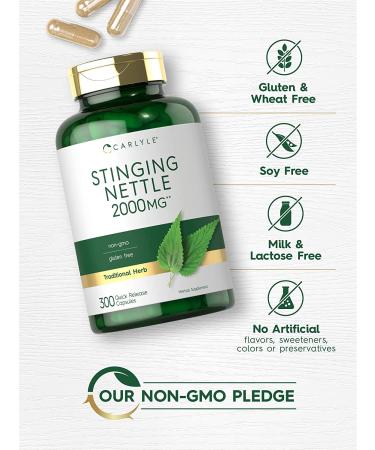 Stinging Nettle Leaf Extract 2000mg | 300 Capsules | Non-GMO & Gluten Free by Carlyle - Buy Online on GoSupps.com