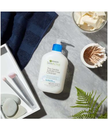 Garnier SkinActive Gentle Sulfate-Free Foaming Face Wash - Pack of 2 - Buy Online on GoSupps.com