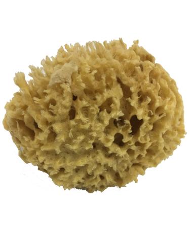 Natural Sea Wool Sponge 4-5 by Awesome Aquatics   Amazing Natural Renewable ResourceCreating The in Home Perfect Bath and Shower Experience
