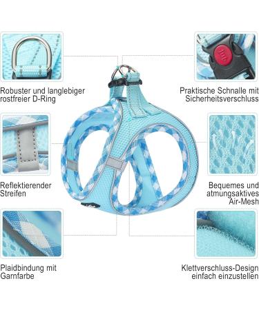 Haapaw Adjustable Dog Harness & Leash Set - No Pull Reflective Step-In Vest for Extra Small & Small Medium Dogs - Turquoise Breath 45.7-50.8 cm Weight 6.4-8.6 kg - Buy Online on GoSupps.com