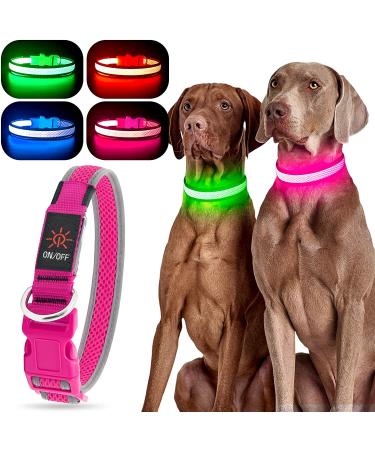 YFbrite Rechargeable LED Dog Collar - Pink Medium | Adjustable Light up Collar for Safety and Visibility at Night | Suitable for Puppy, Small, Medium, Large Dogs - Buy Online on GoSupps.com