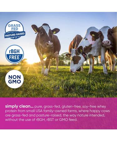 Teraswhey Simply Pure Whey Protein - Plain 12 oz | Natural Plant-Based Protein - Buy Online on GoSupps.com