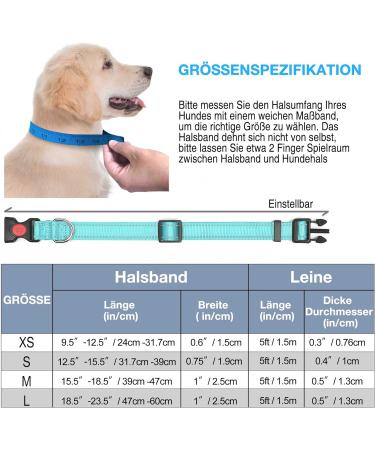 Haapaw Reflecting Dog Collar - Padded Neoprene Breathable Nylon for Small & Medium Dogs - Turquoise - Durable & Comfortable (1-Pack) - Buy Online on GoSupps.com