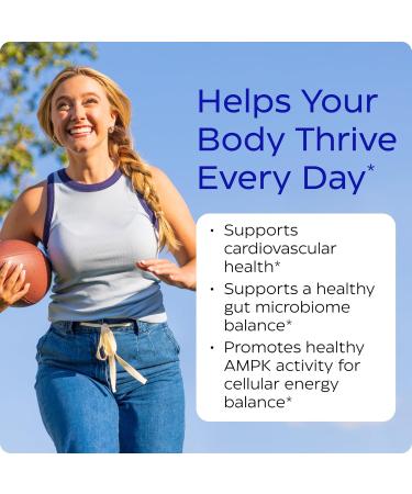 Enzymedica, Berberine Supplement HCl, 510mg, for Overall Health and Wellness, Vegan, No Artificial fillers, Clean Label, 120 Count 120 Count (Pack of 1) - Buy Online on GoSupps.com