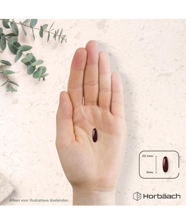 Horbaach Lecithine 1400mg of Soja 90 liquid capsule High Dosing Soyalcithine supplement Soy Lecithin Horbach - Buy Online on GoSupps.com