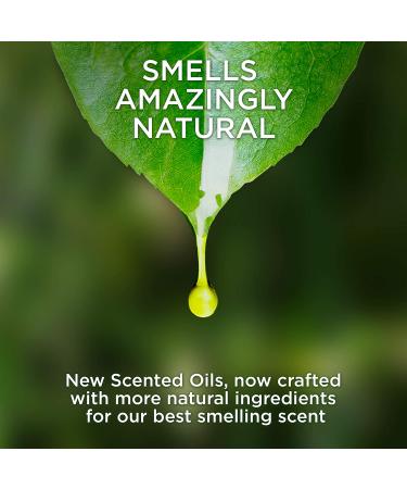 Air Wick Ocean Breeze Scented Oil 5 Refills, 0.67oz - Essential Oils Air Freshener, New Look Packaging - 5 Count (Pack of 1) - Buy Online on GoSupps.com
