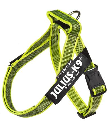 Julius-K9 Color & Gray Belt harness XS / Mini-Mini neon-grey