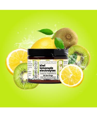 Santa Cruz Paleo Real Salt Electrolytes Powder Hydration Drink Mix Made with Himalayan Pink Salt 30 Servings - Kiwi Lemonade - 4.4 Oz - Buy Online on GoSupps.com